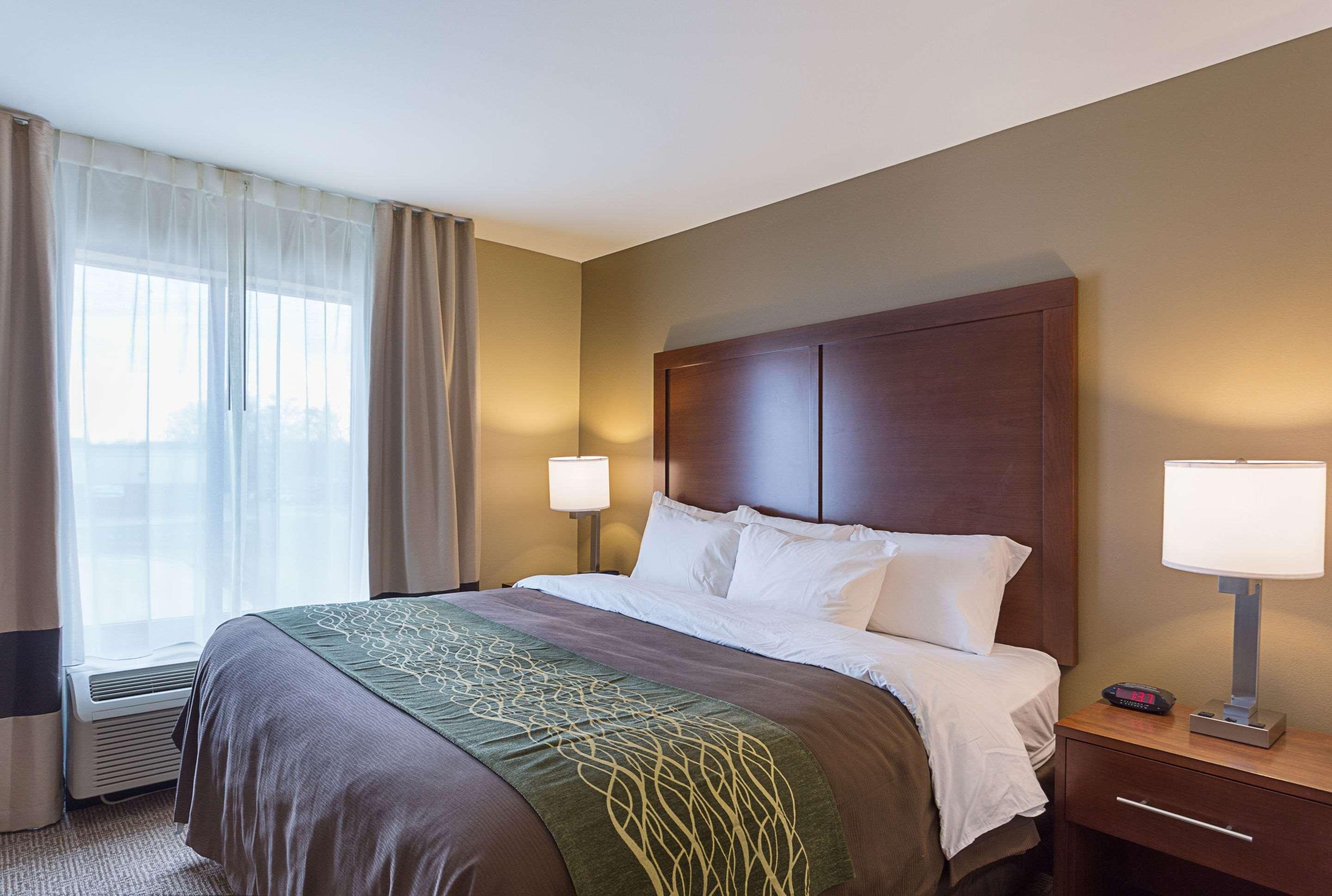 Comfort Inn & Suites Zachary Eksteriør billede